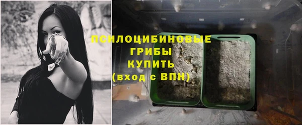 бошки Верхнеуральск